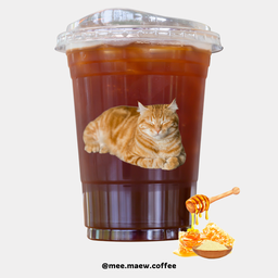 Americano Honey  อเมริกาโน่น้ำผึ้ง