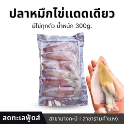 ปลาหมึกไข่ (มีไข่ทุกตัว)