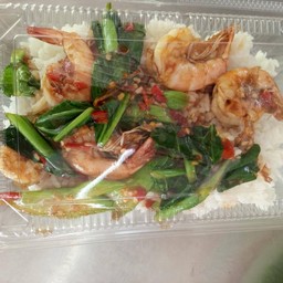 ข้าวคะน้ากุ้ง