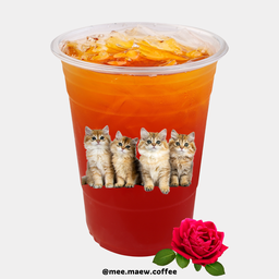 ROSE TEA ชากุหลาบ
