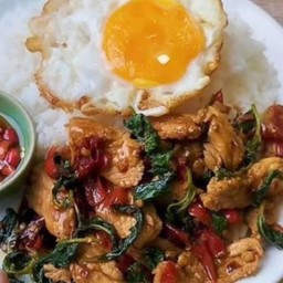 ข้าวกะเพราหมูชิ้น [ ธรรมดา ]