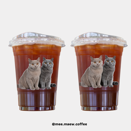 เซ็ตคู่อเมริกาโน่