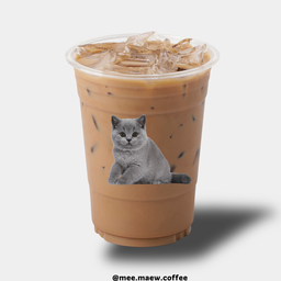 MOCHA มอคค่า