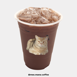 COCOA โกโก้