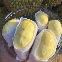 ทุเรียนหมอนทอง เนื้อทอง