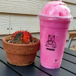 นมหมีปั่นชมพู