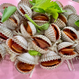 หอยแครงลวก