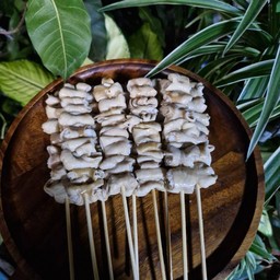 ไส้หมู10ไม้