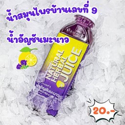 น้ำอัญชันมะนาว