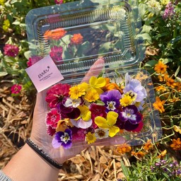 ดอกไม้กินได้(คละดอก)