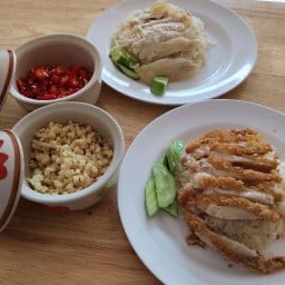 ลักษณะข้าวมันไก่ (หน้าศาลพระพรหม) ลักษณะข้าวมันไก่