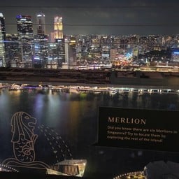 Skypark At Marina Bay