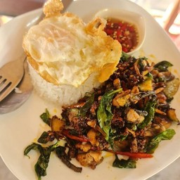 ผัดปลาไหล