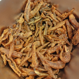 ปลากรอบ