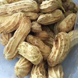 ถั่วต้ม