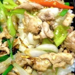 ผัดพริกสดหมูราดข้าว