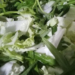 เพิ่มผัก