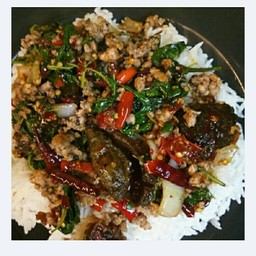 กระเพราไข่เยี่ยวม้าหมูสับ