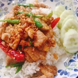 ทอดกระเทียมพริกสดราดข้าว