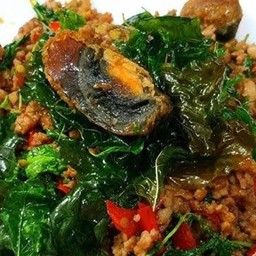 กระเพา-หมู ไข่เยี่ยวม้า(กับข้าว)