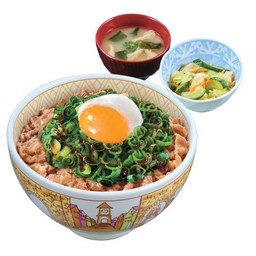 ข้าวหน้าเนื้อไข่ออนเซ็นโรยต้นหอม และชุดสุดคุ้ม