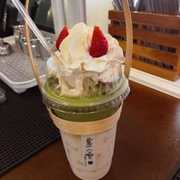 ณิชชา Coffee พยอม16