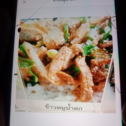 ข้าวหมูน้ำตก