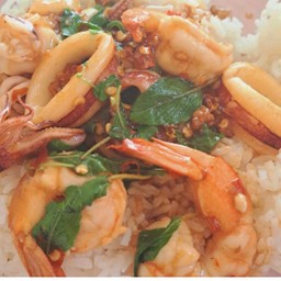 กระเพราทะเล