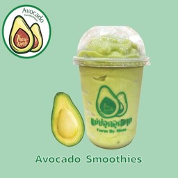 แม่ปลูกลูกขาย อโวคาโด้ Avocado (น้ำปั่น สมูทตี้ สลัด) สาขาท่าอิฐ ท่าอิฐ