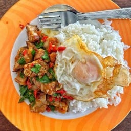 ร้านครัวเตยหอม ผัดกระเพรา(Delivery) -