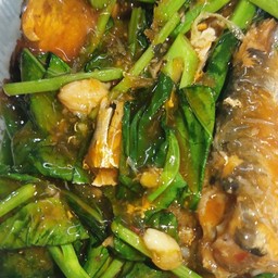 ข้าวราดคะน้าปลากระป๋อง