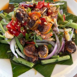 ยำกระเฉดหอยแครง