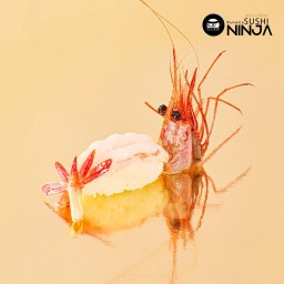 ซูชิกุ้งหวานอามะ เอบิ