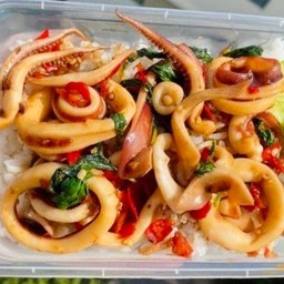 ข้าวกะเพราปลาหมึก