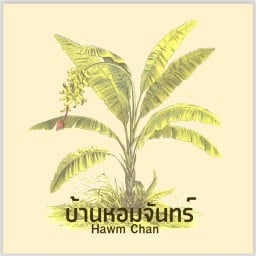 บ้านหอมจันทร์ หมี่ไก่ฉีก ไม่ใส่ผงชูรส หมู่บ้านศิวาพร