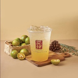Kumquat Soda (L)