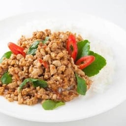 [อร่อยซ่ากับโค้ก] ข้าวราดกะเพราไก่สับ +  โค้ก ออริจินัล (กระป๋อง) 