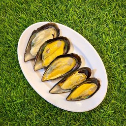 หอยชิลี