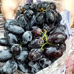 ฟรุ๊ตตี้เดลี่ - ผลไม้ปอกสดทุกวัน