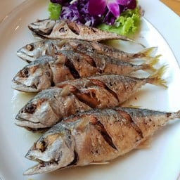 ปลาทูราดน้ำปลา