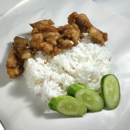 แมวสมบูรณ์