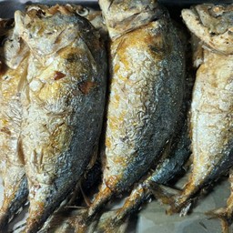 เอ แอล สตรีทฟู้ด ( AL Street Food ) 2