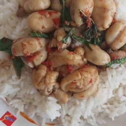 กะเพราไข่หมึกราดข้าว