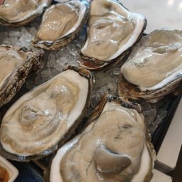 หอยนางรม 5 ตัว