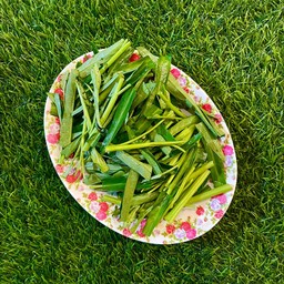 ผักบุ้ง