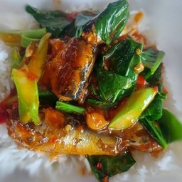 ข้าวราดผัดคะน้าปลากระป๋อง