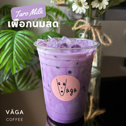นมเผือก