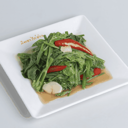 ซาโยเต้ผัดน้ำมันหอย