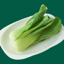 กวางตุ้งไต้หวัน