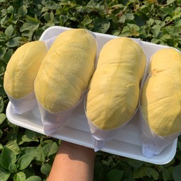 หมอนทองคัดพิเศษ เกรด A  1kg